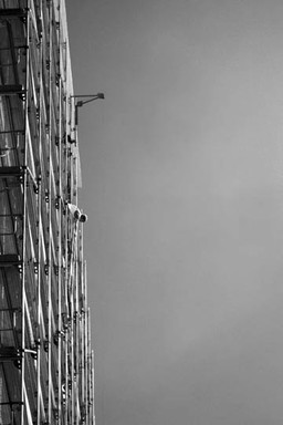  Building Auckland